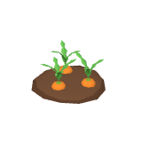 Carottes