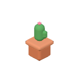 Cactus en pot