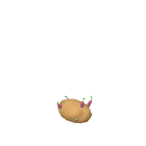 Pomme de terre à planter