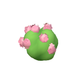 Hortensia rose