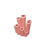 Grappe de tubes roses