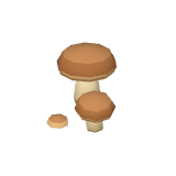 Cèpes