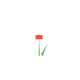 Coquelicot