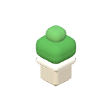 Plante verte