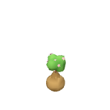 Plant de cerisier
