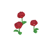 Roses rouges