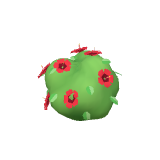 Hibiscus rouge