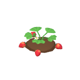 Fraises