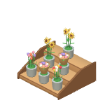 Seaux de fleurs