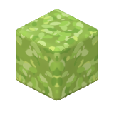 Feuilles de saule