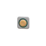 Bouton