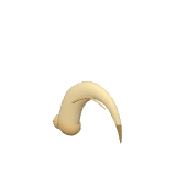 Griffe fossile