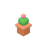 Pot de fleurs