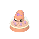 Capsule : Pompon