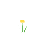 Fleur jaune