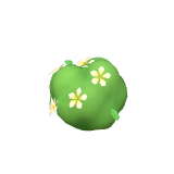 Frangipanier