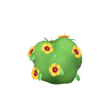 Hibiscus jaune