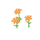 Lys orange