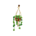 Plante suspendue