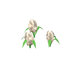 Jacinthes blanches