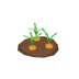 Carottes