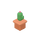 Cactus en pot