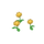 Chrysanthèmes jaunes