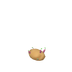 Pomme de terre à planter