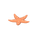 Étoile de mer