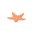 Étoile de mer