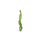 Varech