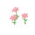 Lys roses