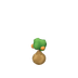 Plant d'oranger