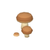 Cèpes