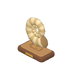 Fossile