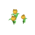 Tulipes jaunes