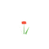Coquelicot