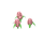 Jacinthes roses