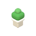 Plante verte