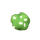 Azalée blanche