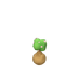 Plant de cerisier