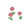 Roses roses