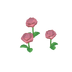 Roses roses