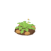 Pommes de terre