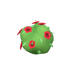 Hibiscus rouge