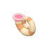 Conque