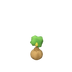 Plant de poirier