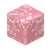 Fleurs de cerisier