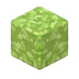 Feuilles de saule
