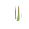 Vignette pour la version du 17 octobre 2026 à 15:07